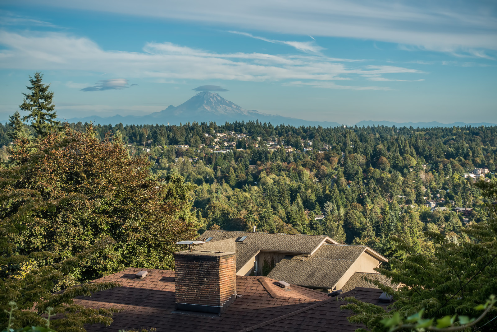 Simple, stress-free, and fast moves for families and businesses in Kent, WA