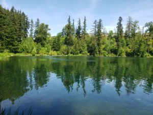 Maple Valley WA